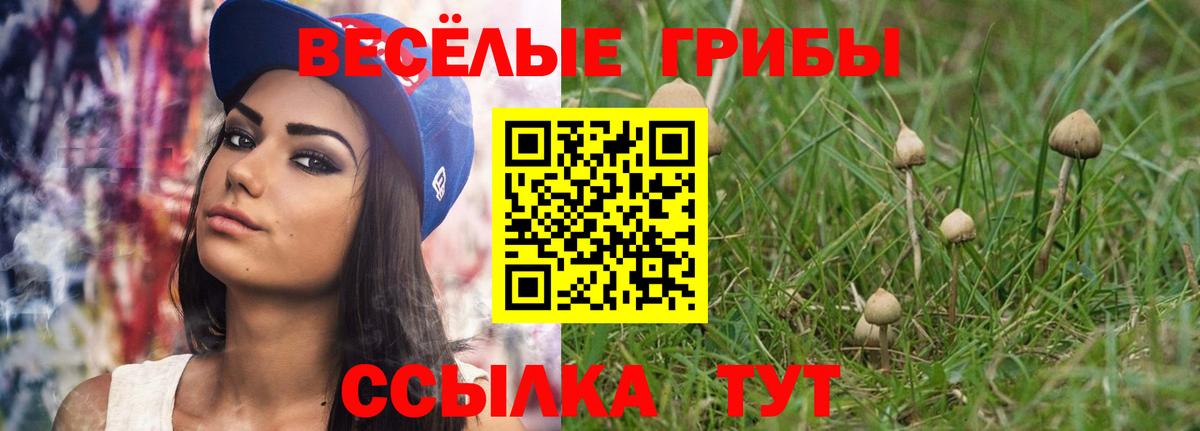 Псилоцибиновые грибы GOLDEN TEACHER  Вход с VPN  Уссурийск 